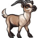 Gonzo the French Alpine Goat