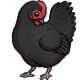 Downpipe the Australorp Hen