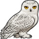 WHO?CharmingSnowyOwl the Snowy Owl