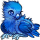 Boreas the Icy Phoenix Chick