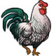 Strut the Silver Laced Wyandotte Rooster