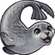 Happy the Playful Seal