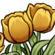 fg_tulips_yellow.jpg