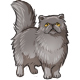 Thunder the Grey Persian