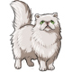 Starlight the White Persian