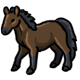 Seabiscuit the Little Brown Pony
