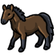 Galida the Little Brown Pony