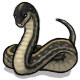 Asmodeus the Brown Snake