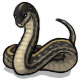 Slytherin the Brown Snake