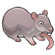 Purchase Squeaky Rat