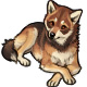 Nuka the Clever Red Wolf