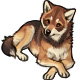 Dustin the Clever Red Wolf