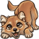 Hige the Playful Wolf Pup