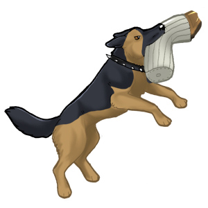 Schutzhund